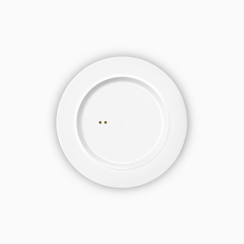 Extra Compact Charging Coaster without Power Adapter - Sage Green | Ember Accessories